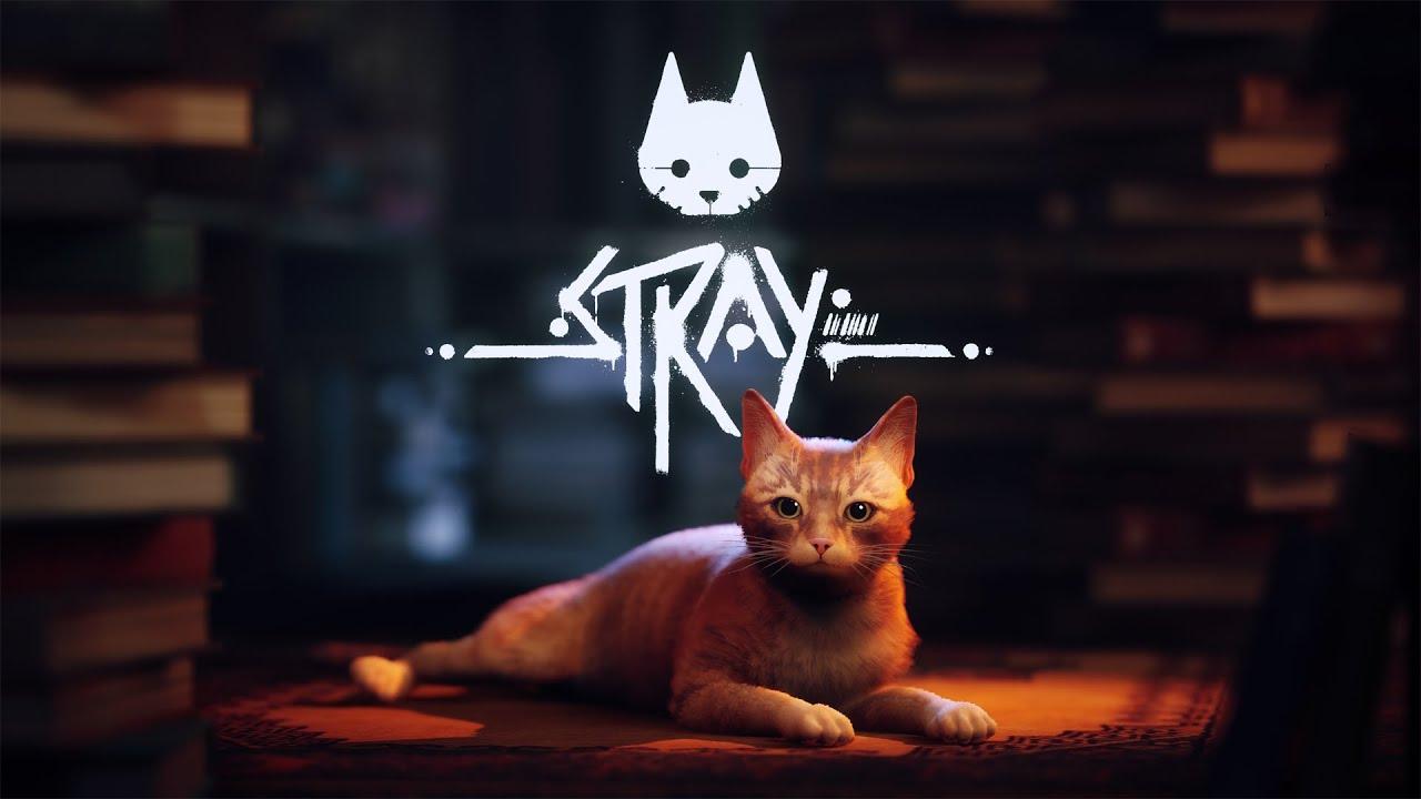 喵喵《Stray》現已成為2022年 Steam評分最高的遊戲