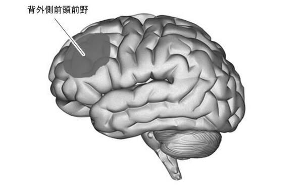 遊戲如何提升大腦認知能力 最新腦科學研究揭新事實
