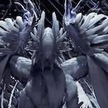 《魔物獵人 荒野》高玩10小時無傷擊殺白熾龍 稱史上最難挑戰