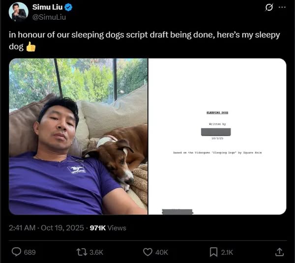《Sleeping Dogs》電影改編進展一大步 劇本初稿已完成