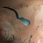 獨立新作《Become》曝光　玩家化身「精子」冒險穿越人體展開奇妙旅程