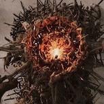 Larian Studios 正式公開新作《神諭》　確認回合制 RPG、目標 3 至 4 年內推出