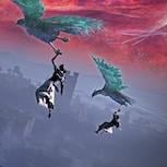 《艾爾登法環：黑夜君臨》DLC負評激增 地圖引發玩家不滿