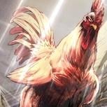 超爆笑漫改動畫《怒火雞頭》日本即將開播 熱血公雞救世開戰