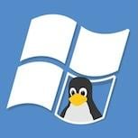 法國政府全面棄用Windows　改用Linux推數碼主權