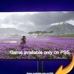 Sony廣告現「Only on PS5」字樣　《羊蹄山戰鬼》PC版或再添變數