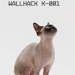 Wallhack 進軍電競周邊市場　K-001 鍵盤加入可調觸發旋鈕
